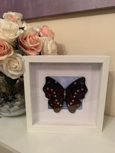 Load image into Gallery viewer, Handmade personalised Frame - Mandela Butterfly
